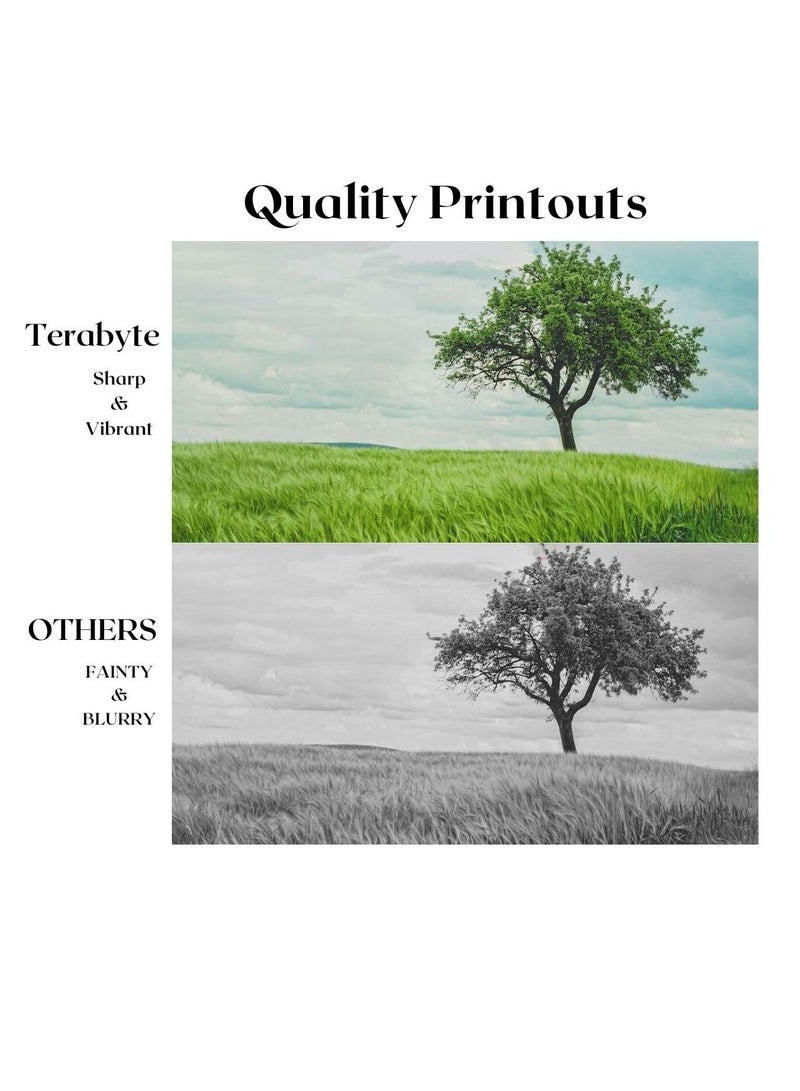 Terabyte CLT809S MAGENTA SAMSUNG COMPATIBLE TONER TERABYTE - Image 2