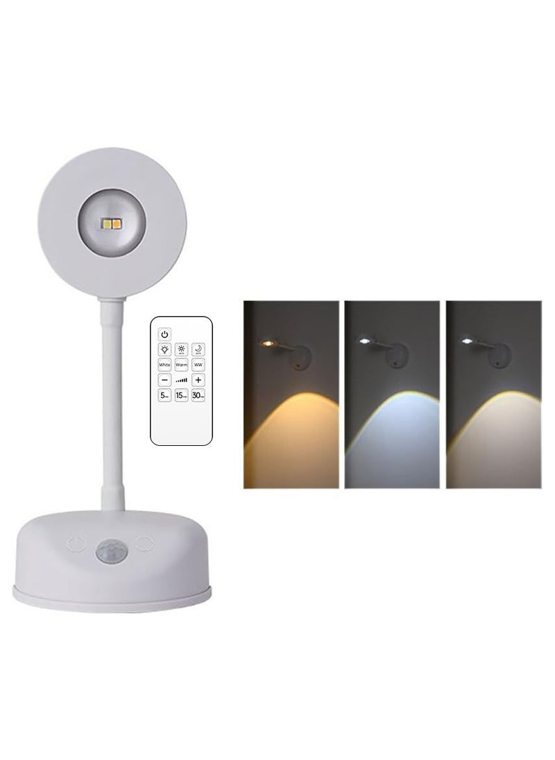 KADRAMA Motion Sensor Light LED Wall Lamp Automatic ON/Off USB Charging 3 Color Temperature Adjustable LED Picture Wall Light Stair Lamp for Home/Hotel Artwork Decor  - Image 1