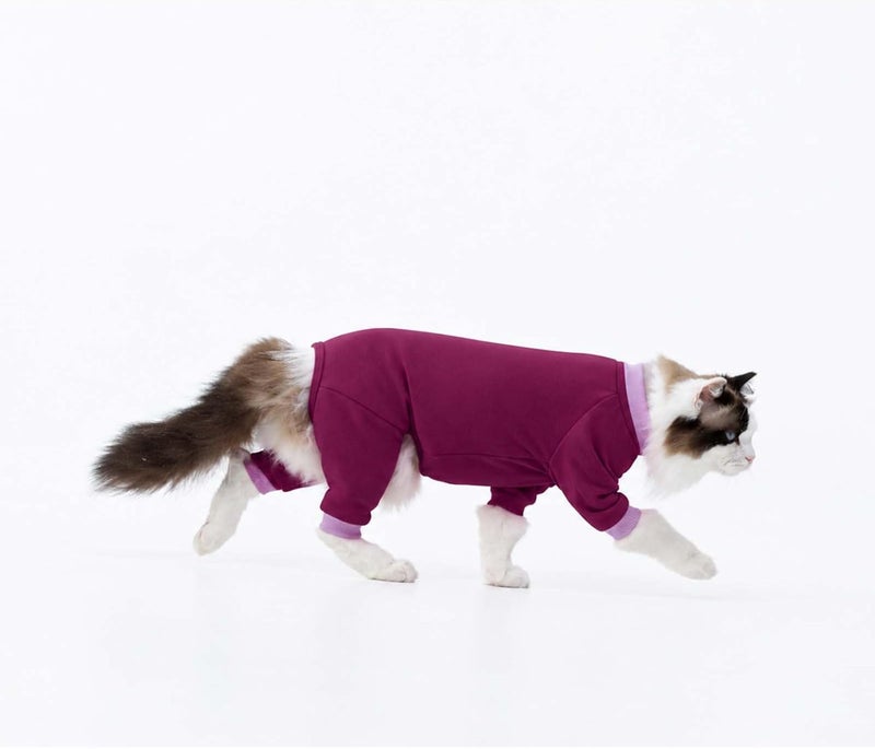 ADNIKIA Cat Hair Sticky Onesie, Prevent Hair Loss Cat Pajamas, Long Sleeves Anti-Licking & Skin Disease Recovery Suit for Cats, Sphynx Clothes Costumes Outfits for Pet - Image 3