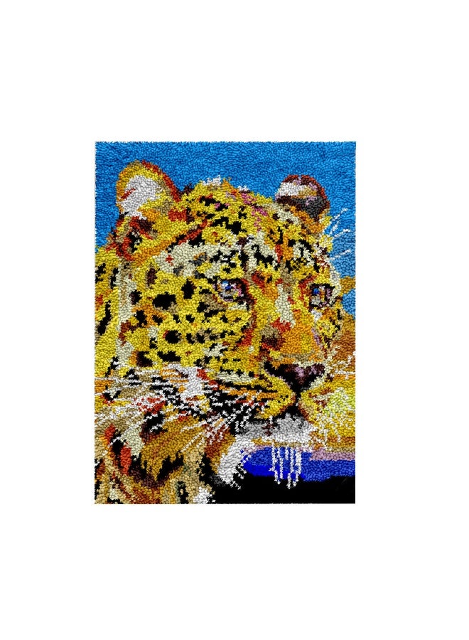 Loquat Latch Hook Rug Kit,Crochet Cat Sofa,Crochet Pattern,Crochet Rug Pattern,Tapestry Cushion Kit Craft Kit