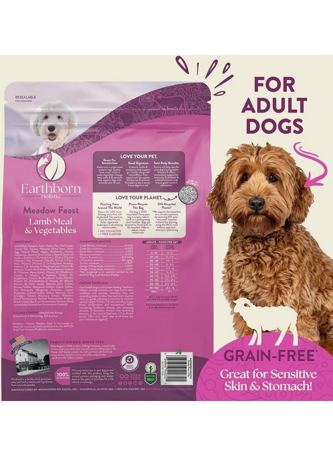 Earthborn Holistic Meadow Feast GrainFree Natural Dry Dog Food, 4 Lb  - Image 2