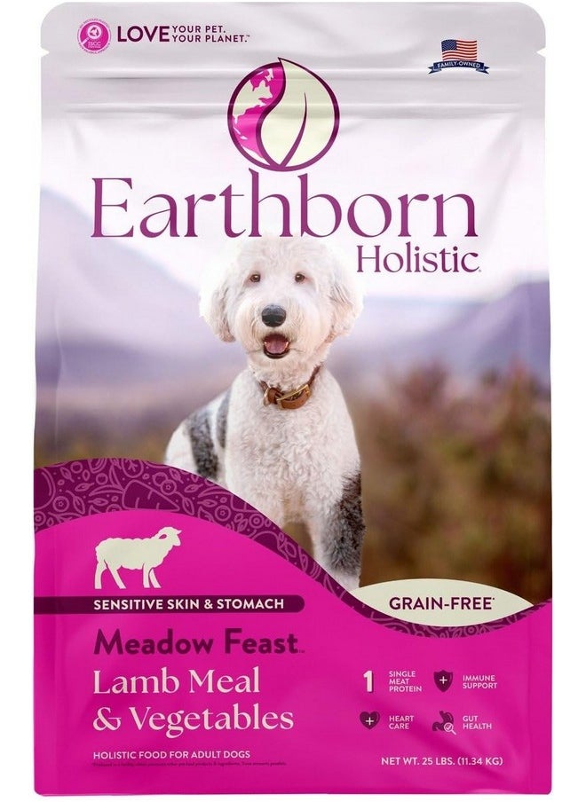 Earthborn Holistic Meadow Feast GrainFree Natural Dry Dog Food, 4 Lb  - Image 1