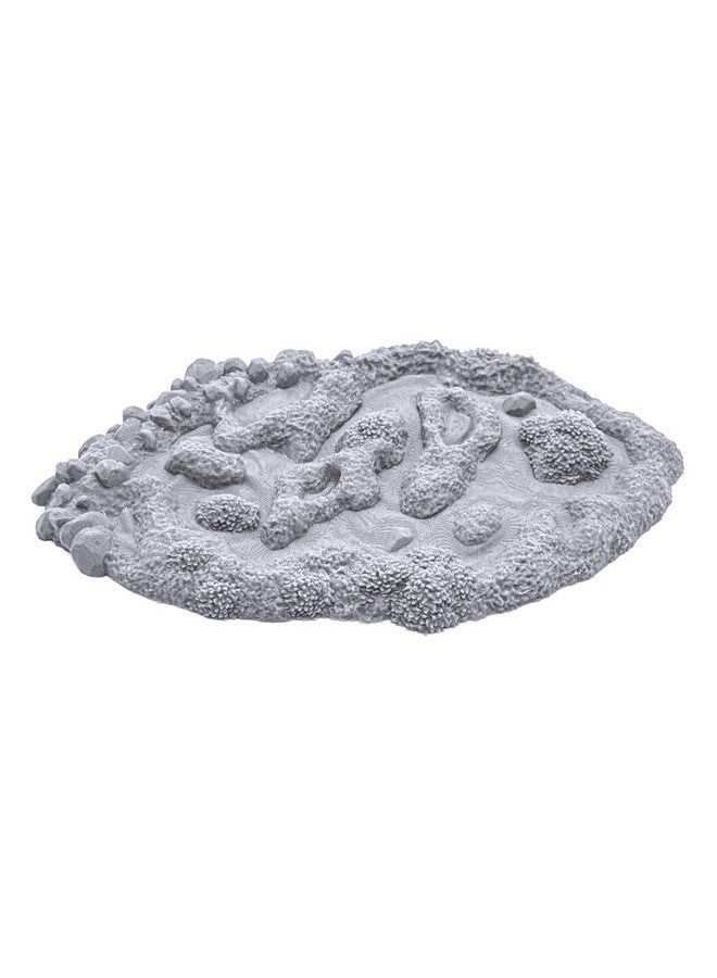 EnderToys Fey Marshes by Printable Scenery, 3D Printed Tabletop RPG Scenery and Wargame Terrain 28mm Miniatures - Image 4