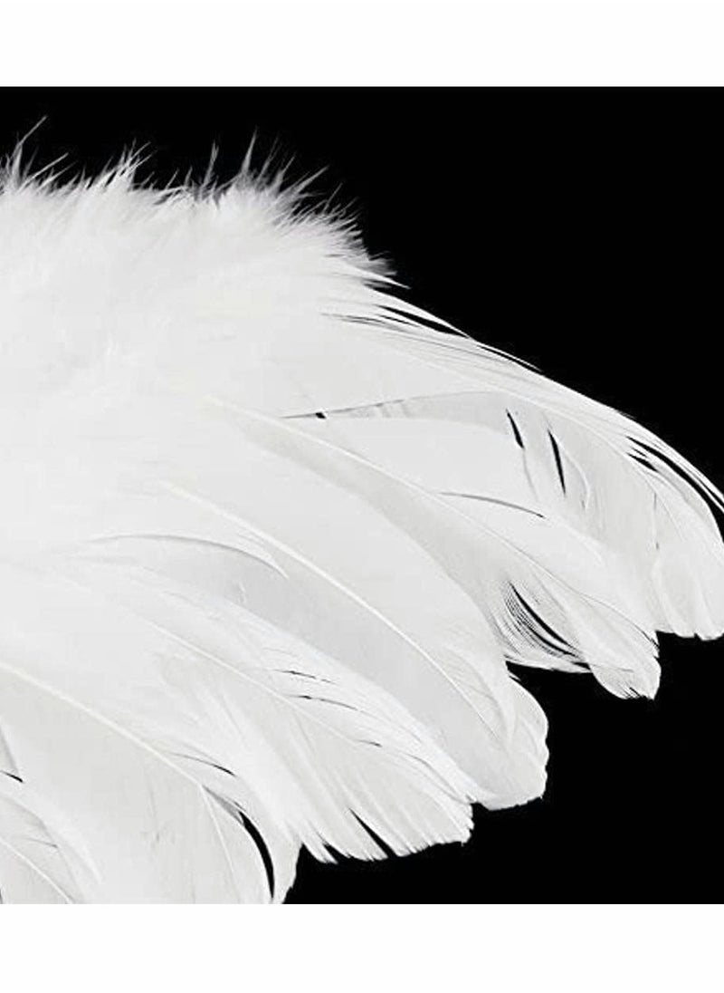 Newborn Baby Photography Outfit Set with Feather Wings and Headband