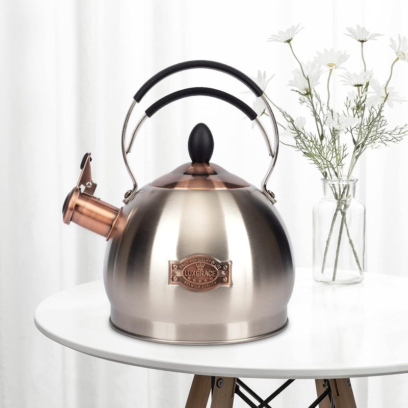 LUXGRACE Whistling Tea Kettle Stainless Steel Teapot, Teakettle for Stovetop Induction Stove Top, Fast Boiling Heat Water Tea Pot 2.6 Quart - Image 5