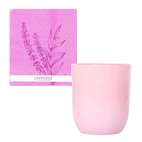 Parkash Candles Premium Scented Glass Candle (Lavender) - Image 2