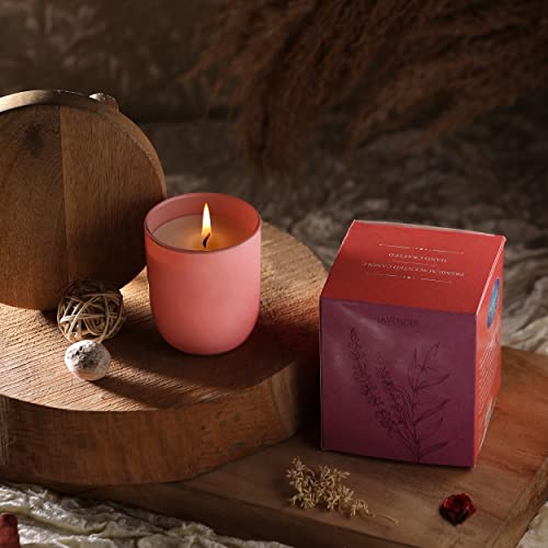 Parkash Candles Premium Scented Glass Candle (Lavender) - Image 1