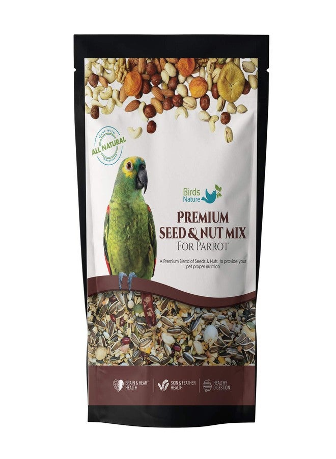 BirdsNature طعام BirdsNature الممتاز من البذور والمكسرات للببغاء الرمادي الأفريقي، وببغاء السنغال، وببغاء الأمازون، وببغاء الإليكتوس، والكوكاتو الصغير، والكونيور، والكاييك، والطيور الغريبة (500 غرام) - Image 2