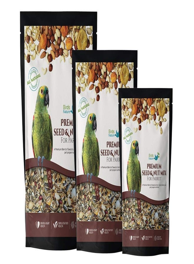 BirdsNature طعام BirdsNature الممتاز من البذور والمكسرات للببغاء الرمادي الأفريقي، وببغاء السنغال، وببغاء الأمازون، وببغاء الإليكتوس، والكوكاتو الصغير، والكونيور، والكاييك، والطيور الغريبة (500 غرام) - Image 1