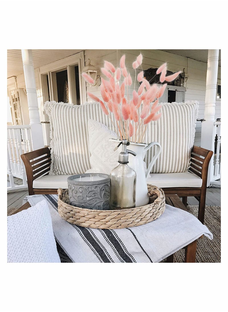 Excefore - Rabbit Tail Grass 70 Pcs Dried Pink Pampas Grass Decor for Farmhouse Flower Arrangements Wedding Home Boho Party Decorations - Image 1