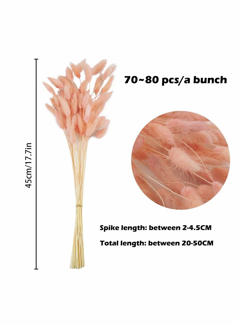 Excefore - Rabbit Tail Grass 70 Pcs Dried Pink Pampas Grass Decor for Farmhouse Flower Arrangements Wedding Home Boho Party Decorations - Image 1