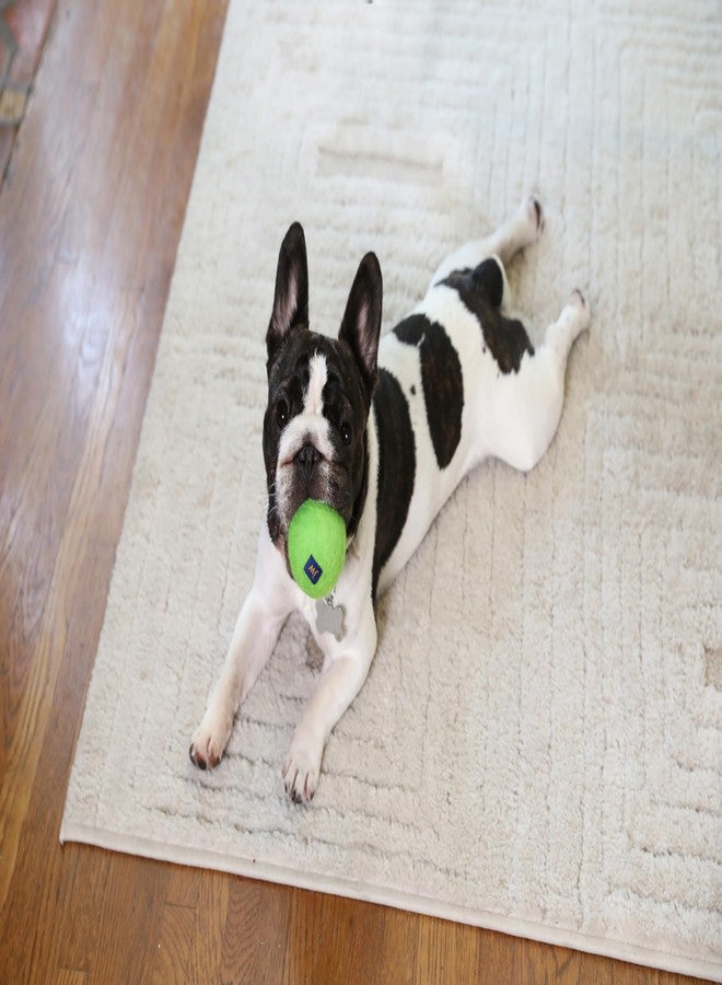 جي دبليو كرة صوفية صغيرة من JW Wool-EE (عبوتان) مصنوعة يدويًا من الصوف الطبيعي 100%، لعبة للكلاب للعب الجلب - Image 5