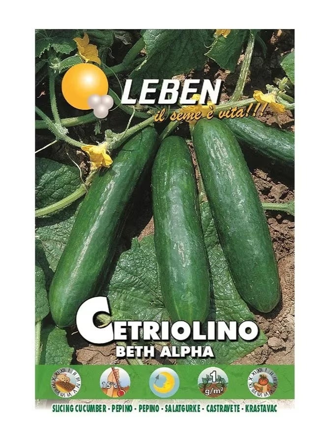 Leben Slicing Cucumber (Cetriolino Beth Alpha) Premium Quality Seeds Made in Italy