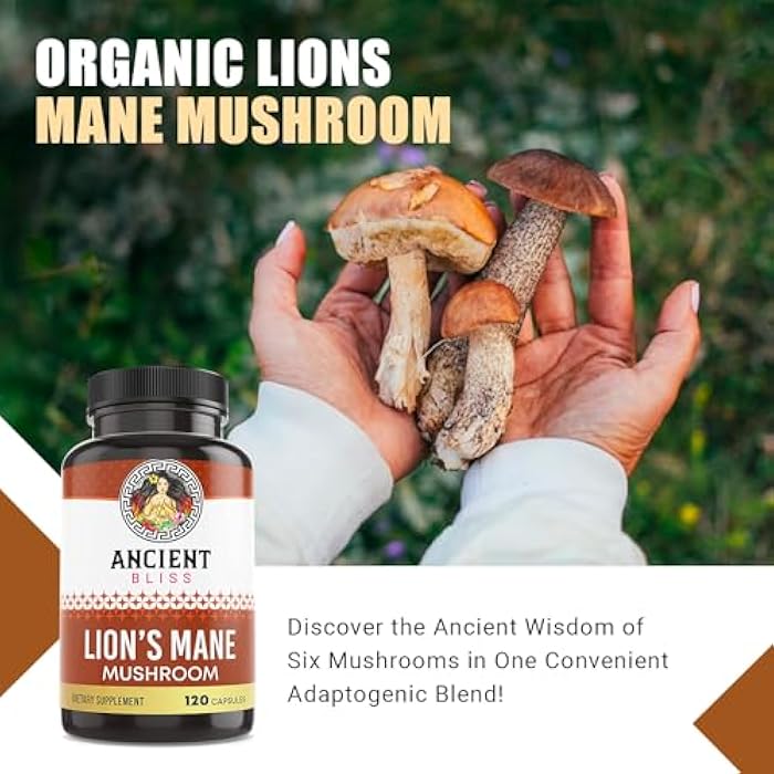Ancient Bliss Lion's Mane Supplement (2 Month Supply)- 120 Vegan Mushroom Capsules- May Supports Mental Clarity, Energy & May Focus- Memory & Immune Support Mushroom Supplement - Image 4