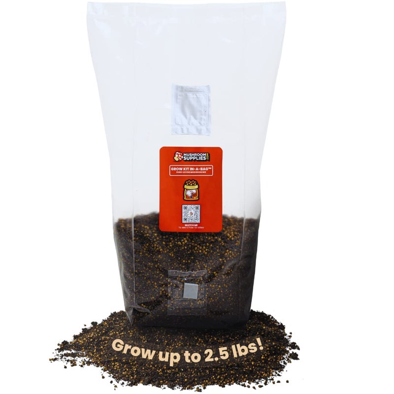 MushroomSupplies.com Mushroom Supplies, Grow Kit in-a-Bag, All-in-One, Spores Not Included, Easy to Use, Mushroom Grow Bag with Sterilized Grain and Substrate, Mycologist Recommended, 3 LB - Image 1
