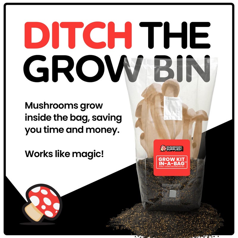 MushroomSupplies.com Mushroom Supplies, Grow Kit in-a-Bag, All-in-One, Spores Not Included, Easy to Use, Mushroom Grow Bag with Sterilized Grain and Substrate, Mycologist Recommended, 3 LB - Image 2