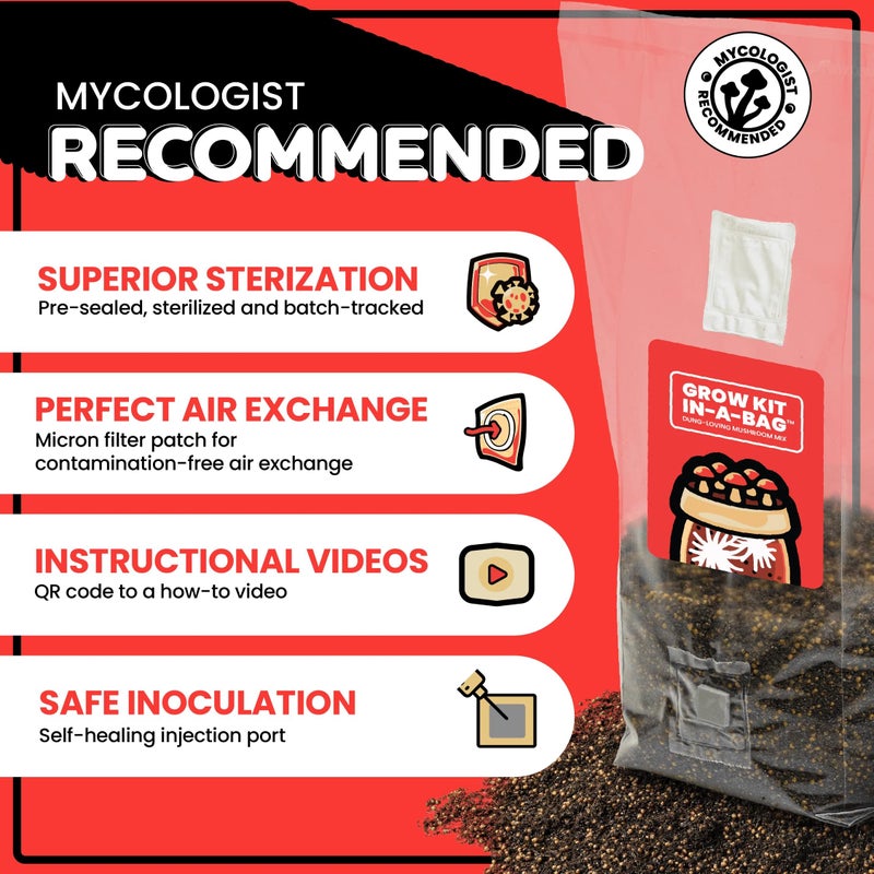 MushroomSupplies.com Mushroom Supplies, Grow Kit in-a-Bag, All-in-One, Spores Not Included, Easy to Use, Mushroom Grow Bag with Sterilized Grain and Substrate, Mycologist Recommended, 3 LB - Image 5