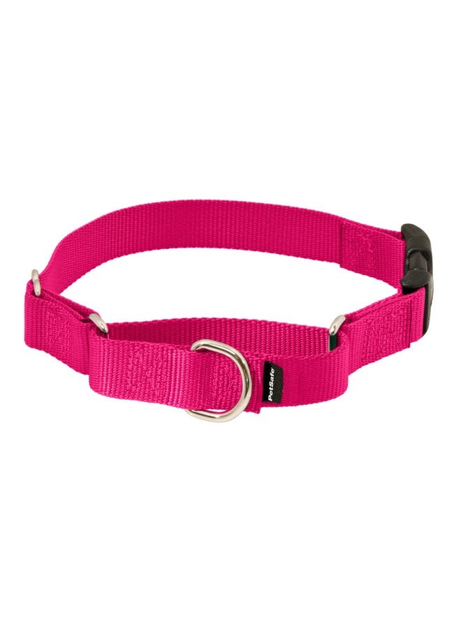 بيت سيف طوق مارتينجال للكلاب من بيت سيف مع مشبك سريع الإغلاق - كبير، 2.54 سم، لون توت العليق - Image 1