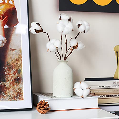DomeStar 30PCS Natural Dried Cotton Stems 15" Tall, Rustic Cotton Sprigs for Vase Fillers, Floral Arrangements and Farmhouse Fall Decorations and DIY Crafts - Image 4