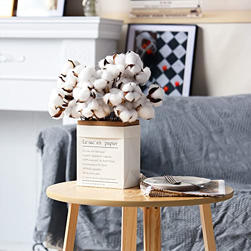DomeStar 30PCS Natural Dried Cotton Stems 15" Tall, Rustic Cotton Sprigs for Vase Fillers, Floral Arrangements and Farmhouse Fall Decorations and DIY Crafts - Image 5