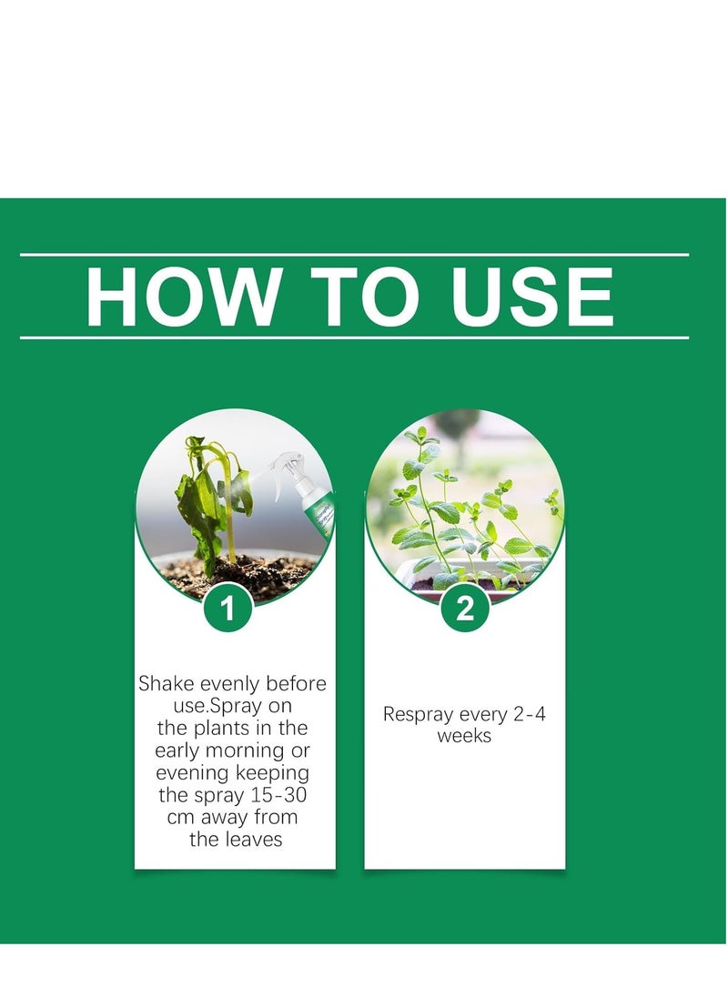 Liquid Chlorophyll Spray, Plant Nutrient Solution for Growth Enhancement, Vitality Elixir Supplement for Seedlings  Cuttings, Plant Growth Enhancer 100ml