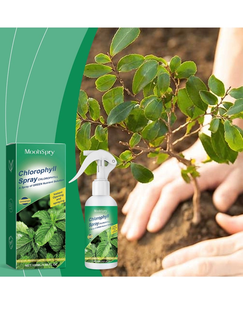 MOONSPRY Liquid Chlorophyll Spray, Plant Nutrient Solution for Growth Enhancement, Vitality Elixir Supplement for Seedlings  Cuttings, Plant Growth Enhancer 100ml  - Image 4