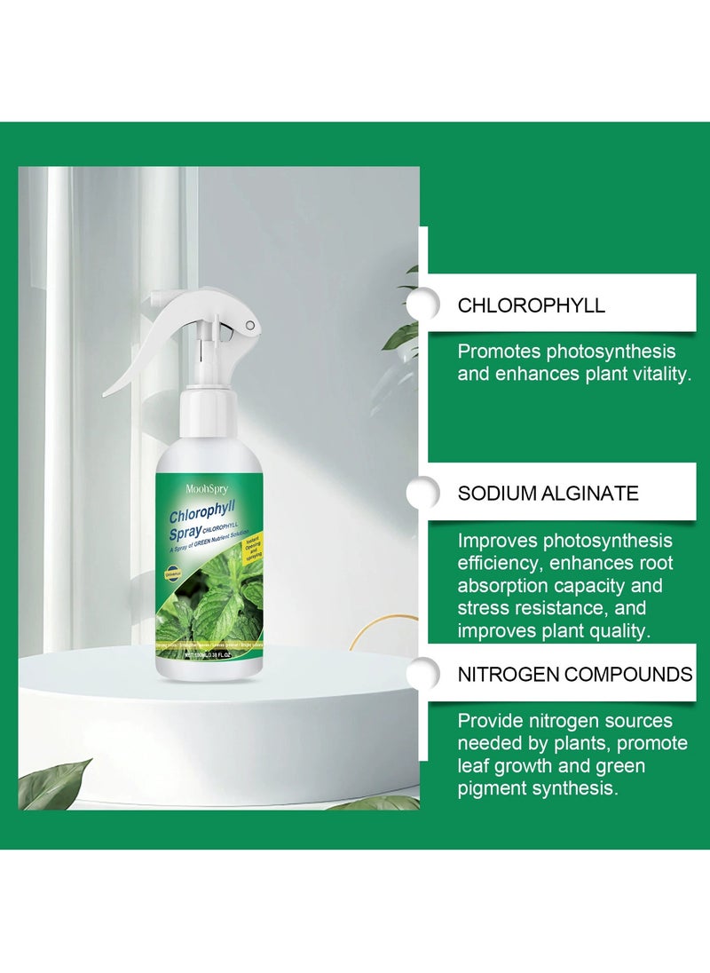 MOONSPRY Liquid Chlorophyll Spray, Plant Nutrient Solution for Growth Enhancement, Vitality Elixir Supplement for Seedlings  Cuttings, Plant Growth Enhancer 100ml  - Image 3