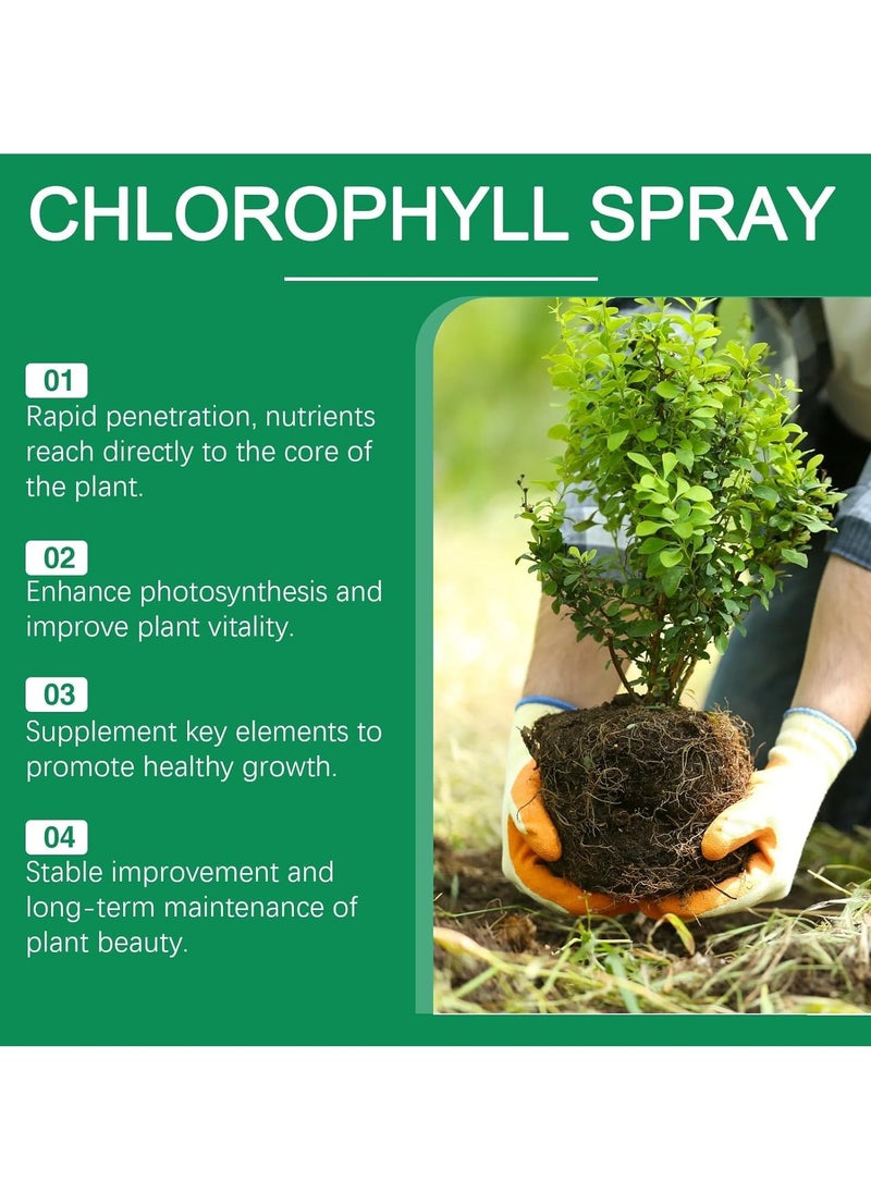MOONSPRY Liquid Chlorophyll Spray, Plant Nutrient Solution for Growth Enhancement, Vitality Elixir Supplement for Seedlings  Cuttings, Plant Growth Enhancer 100ml  - Image 5