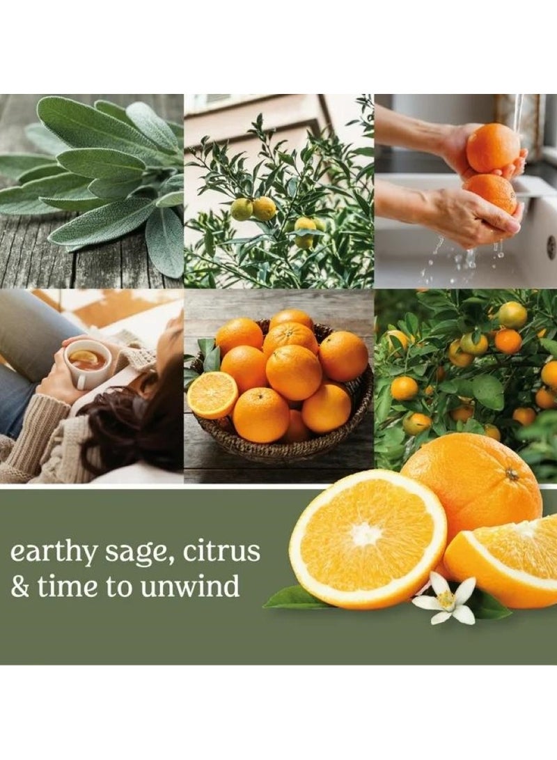 يانكي كاندل شمعة بهلوان المريمية والحمضيات 567 غ - Image 4