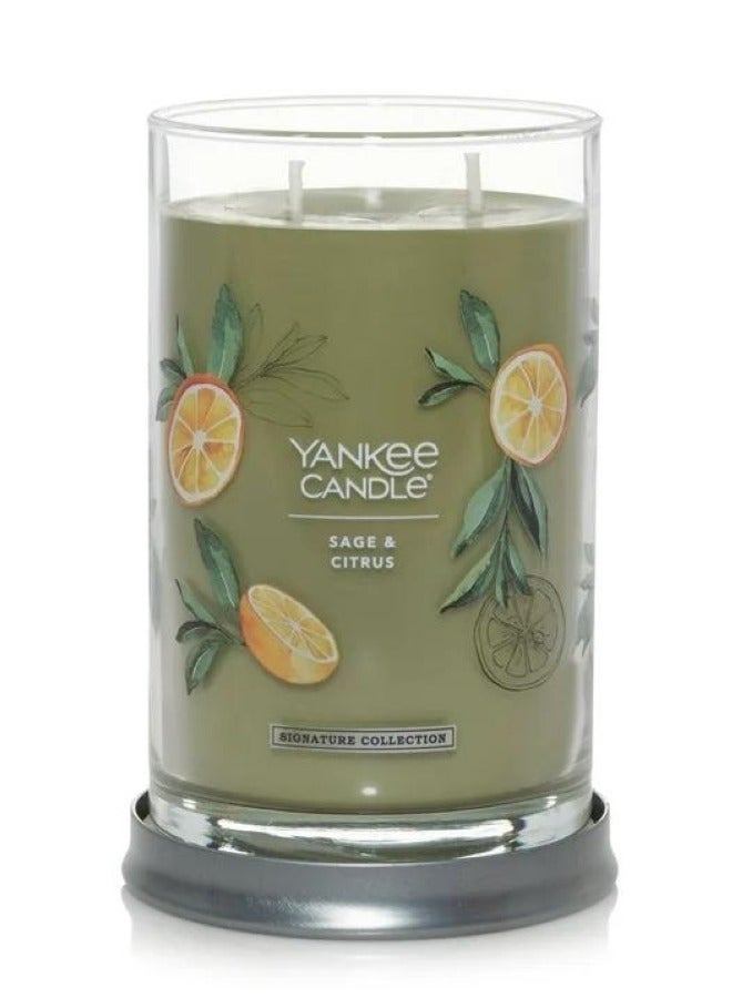 يانكي كاندل شمعة بهلوان المريمية والحمضيات 567 غ - Image 5