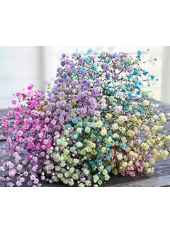 BRIGHTAIL INFRA BRIGHTAIL INFRA 2 Boxes Natural Real Dried Flowers for Art Craft Mixed Soap Candle Scrapbook DIY Resin Tray Jewellery Pendant Random Box Multicolour 2  - Image 2