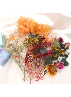 BRIGHTAIL INFRA BRIGHTAIL INFRA 2 Boxes Natural Real Dried Flowers for Art Craft Mixed Soap Candle Scrapbook DIY Resin Tray Jewellery Pendant Random Box Multicolour 2  - Image 5