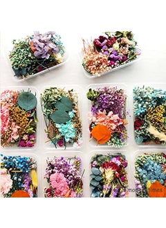 BRIGHTAIL INFRA BRIGHTAIL INFRA 2 Boxes Natural Real Dried Flowers for Art Craft Mixed Soap Candle Scrapbook DIY Resin Tray Jewellery Pendant Random Box Multicolour 2  - Image 1