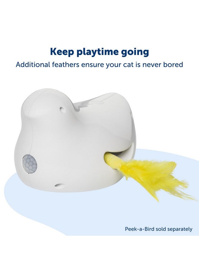 بيت سيف ريش بديل للعبة القطط من Peek-A-Bird - عبوة من قطعتين لإعادة التعبئة - لعبة تشويق تفاعلية للقطط التي تعيش داخل المنزل - Image 5