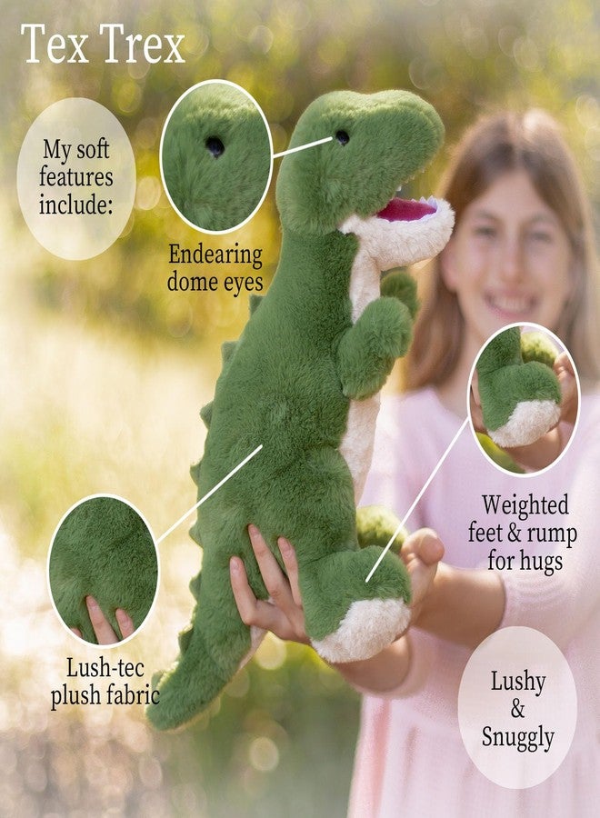 World's Softest Plush Stuffed Animal for Baby, Toddler, Kids, Adults - Adorable Toy Made from Kid-Friendly, Quality Materials - Lushee Tex Trex, 16" - Image 3