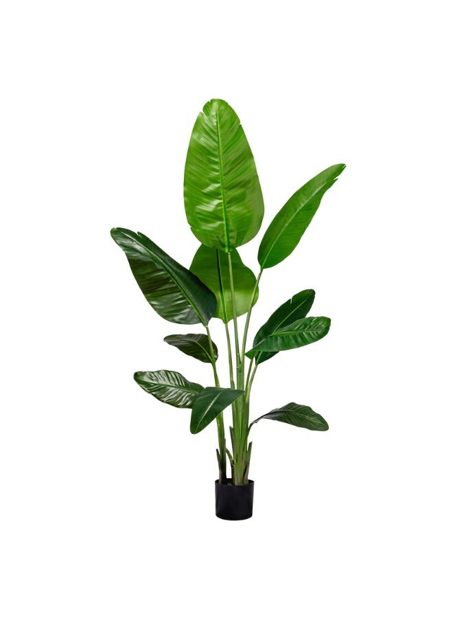 Artificial Banana Plant Lush Green Tropical Vibes 150, 180, 220cm - Image 1