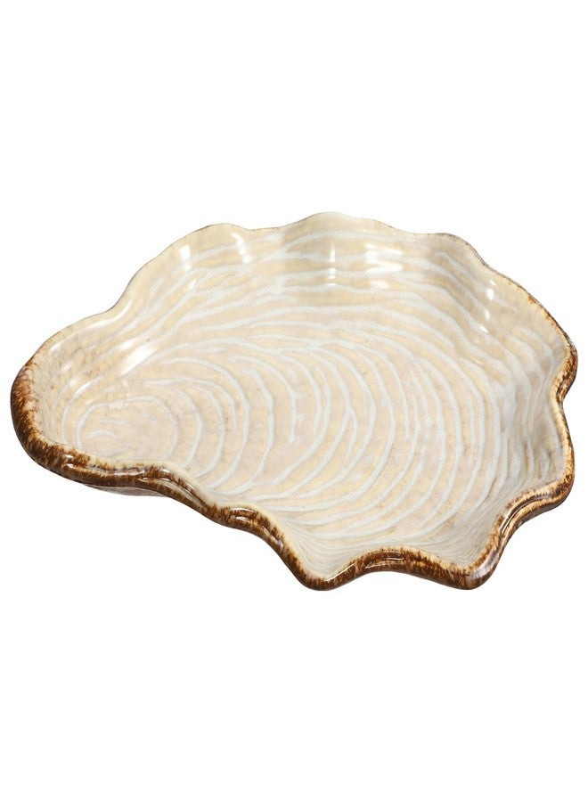 Cabilock Candy Bowl Sea Shell Plate Ceramic Appetizer Plate Dessert Dinner Pasta Bowl Food Serving Tray for Fruit Salad Dessert Candy Tray - Image 1