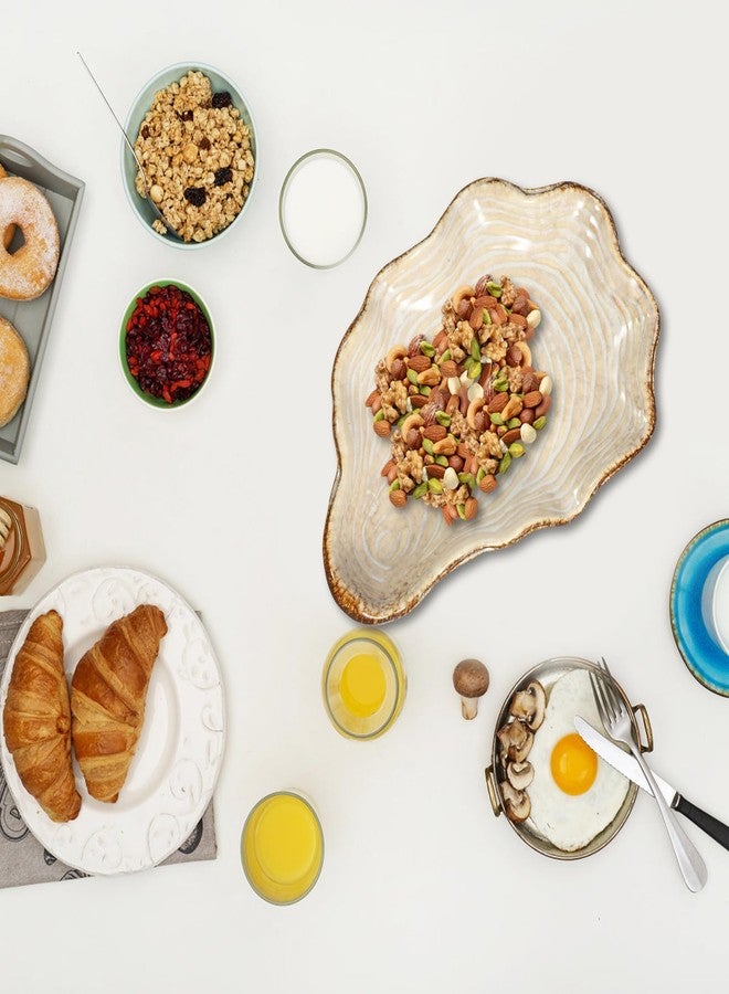 Cabilock Candy Bowl Sea Shell Plate Ceramic Appetizer Plate Dessert Dinner Pasta Bowl Food Serving Tray for Fruit Salad Dessert Candy Tray - Image 2