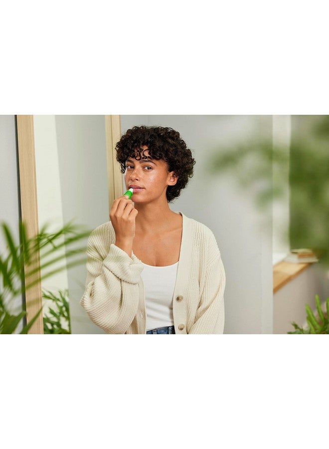 ويليدا زبدة الشفاه ويليدا سكين فود، 0.27 أونصة، غنية بالنباتات للعناية بالشفاه المرطبة مع زيت بذور دوار الشمس والبابونج والآذريون - Image 2