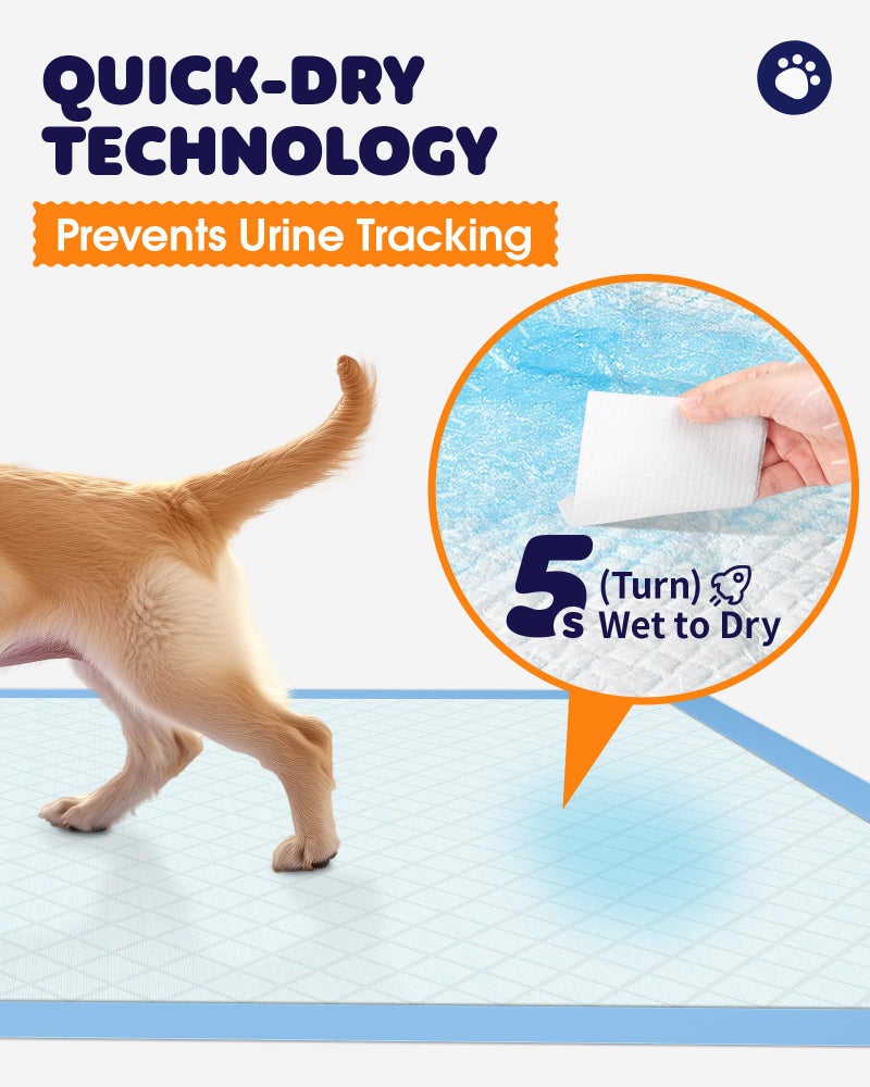 Powools Puppy Pads - Super Absorbent & Spill-Proof Pee Pads for Dogs with 6-Layer Material, Quick-Dry & Hassle-Free Potty Pads for Floors, Furniture, Vehicle, 22" Ã— 22", 100 Packs - Image 3