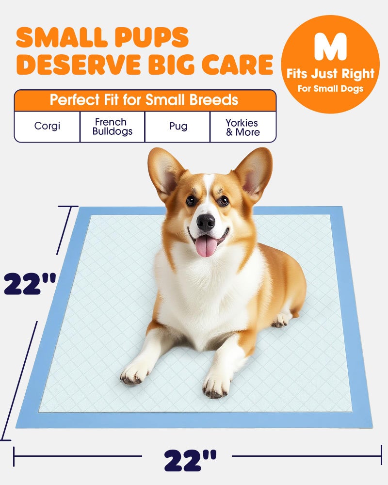 Powools Puppy Pads - Super Absorbent & Spill-Proof Pee Pads for Dogs with 6-Layer Material, Quick-Dry & Hassle-Free Potty Pads for Floors, Furniture, Vehicle, 22" Ã— 22", 100 Packs - Image 2
