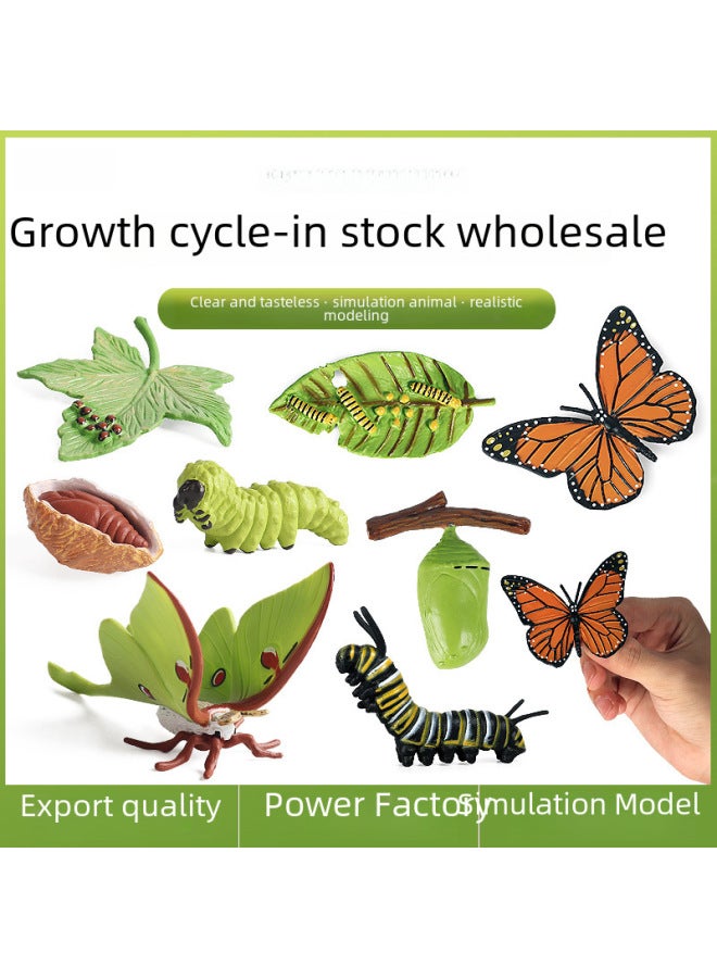 Realistic Insect Animal Growth Cycle Model Toy Set Moon Goddess Moth Butterfly Growth Cycle Toy Set Educational Playset-Color:2435 Snail Growth Cycle + KZ Frog Growth Cycle Combination Set