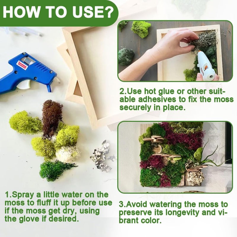 TCYPUHL Preserved Reindeer Moss 3.5 OZ Green Natural for Crafts, DIY Gift Christmas Decor, Wall Art, Potted Plants, Floral Fake Moss for Easter Table Decor Wedding Decorative(3.5 OZ, Green) - Image 5