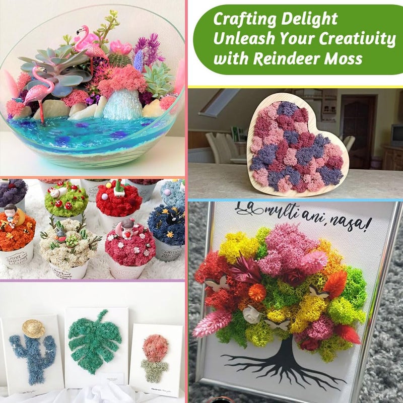 TCYPUHL Preserved Reindeer Moss 3.5 OZ Green Natural for Crafts, DIY Gift Christmas Decor, Wall Art, Potted Plants, Floral Fake Moss for Easter Table Decor Wedding Decorative(3.5 OZ, Green) - Image 4