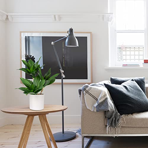 Hollyone Large Artificial Agave Plants Fake Three-Head Agave Succulent Plant Potted 15" Faux Plant in White Pot Succulent Aloe Plant Indoor for Desk Modern Home Decor - Image 3