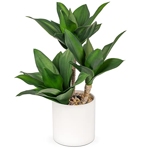 Hollyone Large Artificial Agave Plants Fake Three-Head Agave Succulent Plant Potted 15" Faux Plant in White Pot Succulent Aloe Plant Indoor for Desk Modern Home Decor - Image 1