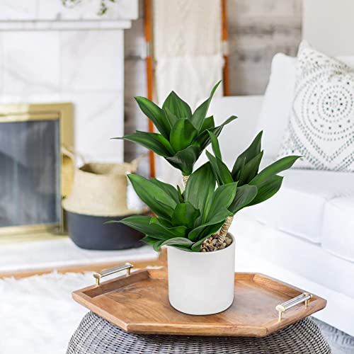 Hollyone Large Artificial Agave Plants Fake Three-Head Agave Succulent Plant Potted 15" Faux Plant in White Pot Succulent Aloe Plant Indoor for Desk Modern Home Decor - Image 5