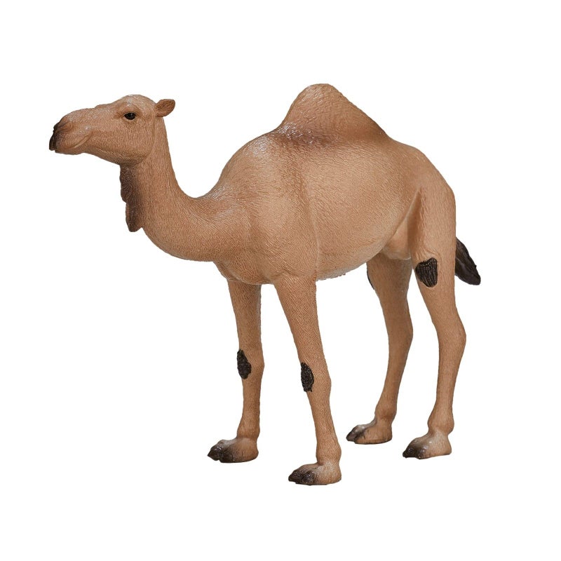MOJO تمثال لعبة الجمل العربي موجو - Image 1