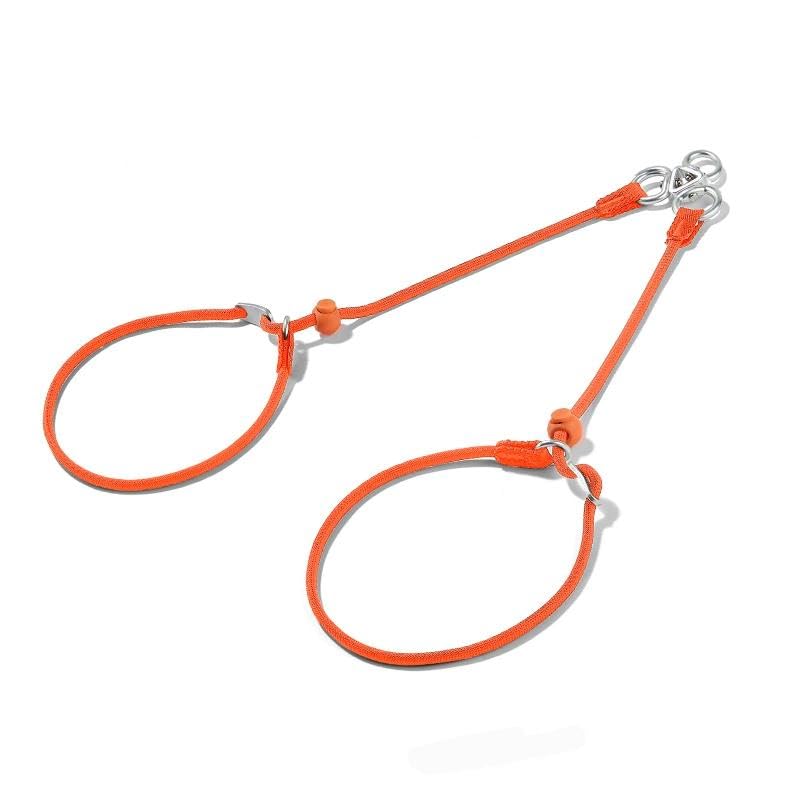 Howgo Double Slip Leash Slip Lead with Two Handles| Dual Dog Slip Lead for 2 Dogs,360° Swivel No Tangle | Dog Training Collar | Double Clip Leash Coupler and Splitter (Orange, 3FT) - Image 1
