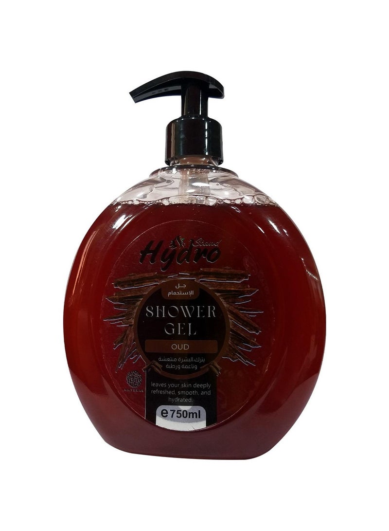 Hydro Stand Shower Gel Oud 750ml  - Image 1